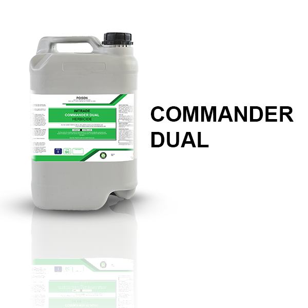 Commander Dual Website Square Picture