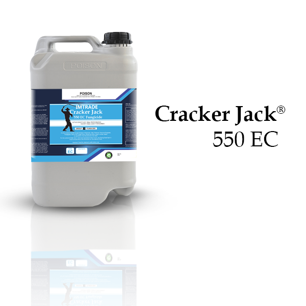 Cracker-Jack-550-EC-Website-Square-Picturee.png