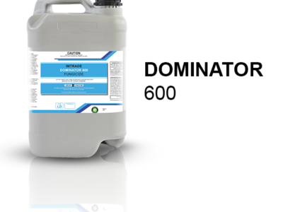 Dominator 600 Fungicide
