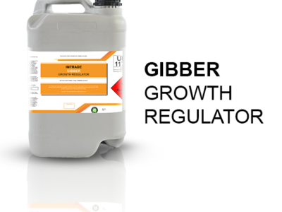 Gibber growth regulator