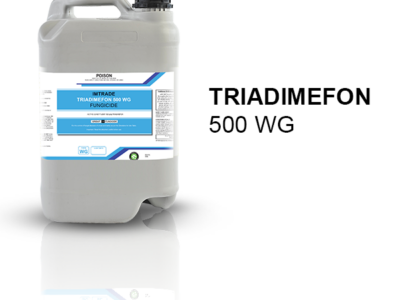Triadimefon 500 WG Fungicide