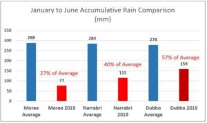 Rainfall Comparison Graph