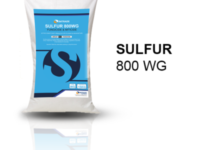 Sulfur 800 WG Fungicide & Miticide