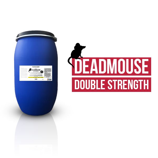 Double Deadmouse Website Picture