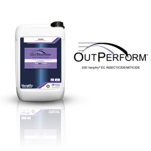 OutPerform®-VeripHy®-Website-Square-Pictureee.png