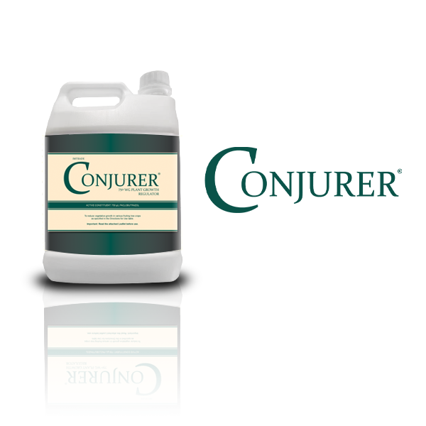Conjurer®-Website-Square-Picturee.png