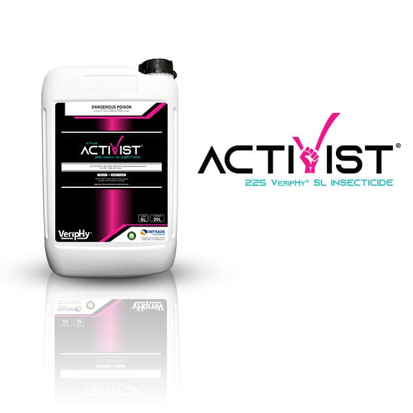 Activist®-Website-Square-Picturee-optimized
