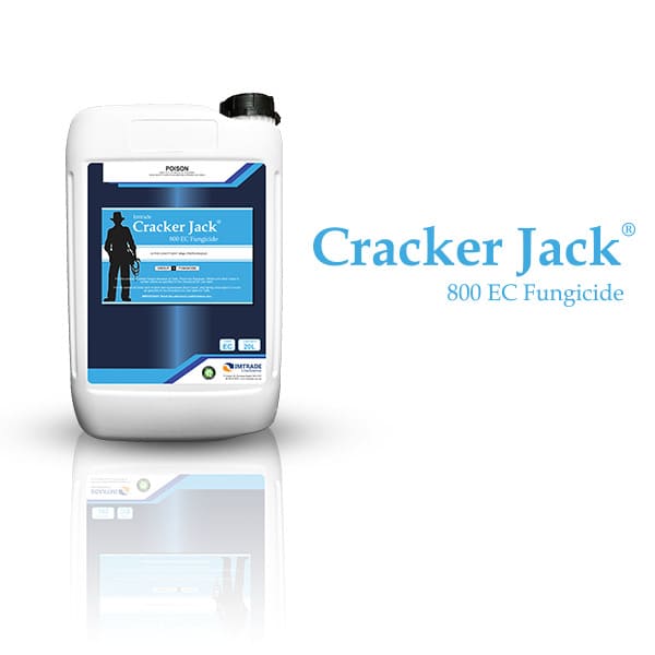 Cracker-Jack®-800-Website-Square-Picture-optimized