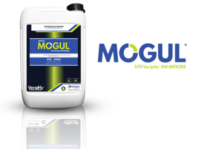 Mogul®-VeripHy®-Website-Square-Picture.png